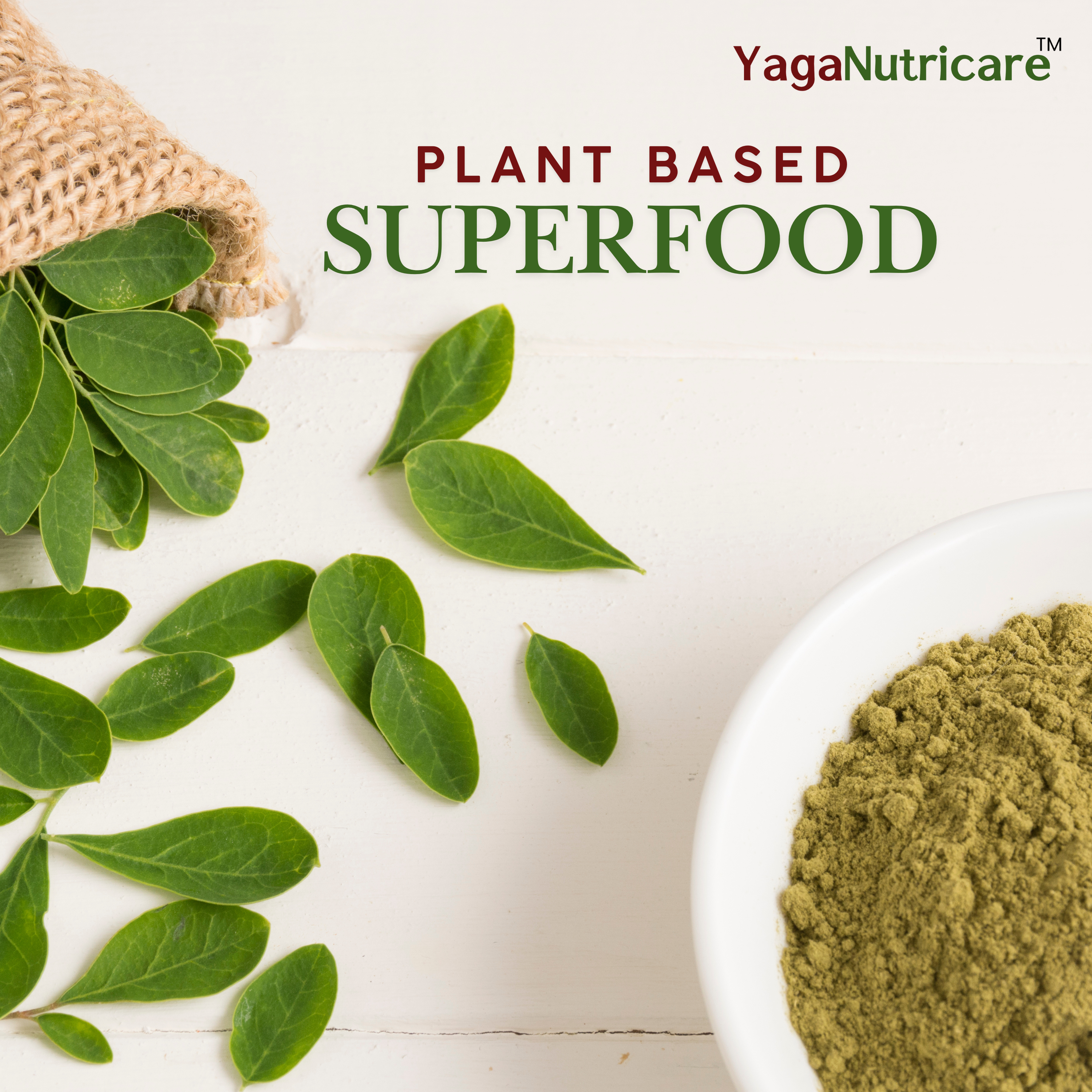moringa Powder Image 4